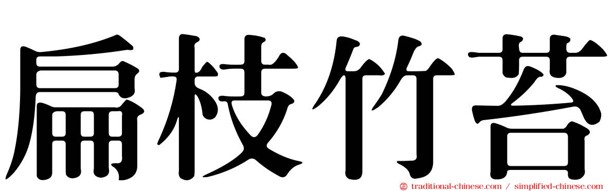 扁枝竹苔