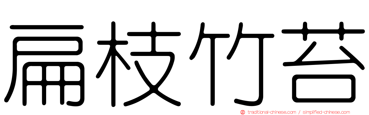 扁枝竹苔
