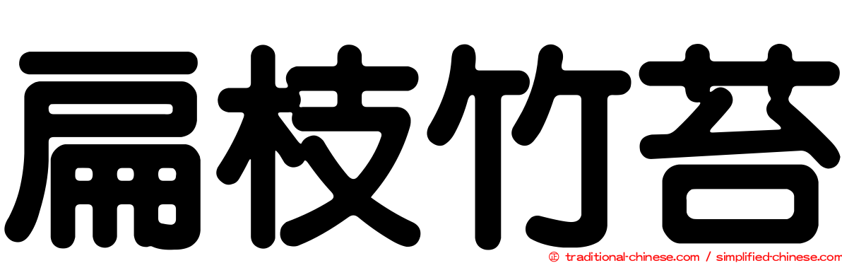 扁枝竹苔