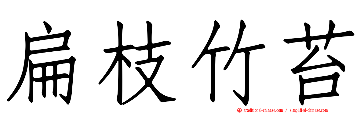 扁枝竹苔