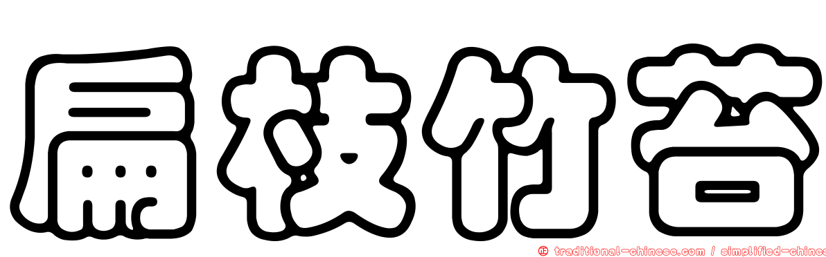 扁枝竹苔