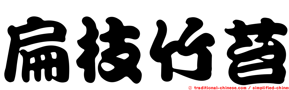 扁枝竹苔