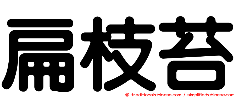 扁枝苔