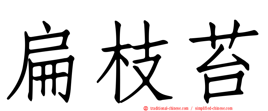 扁枝苔