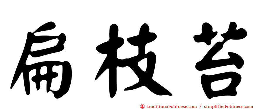 扁枝苔