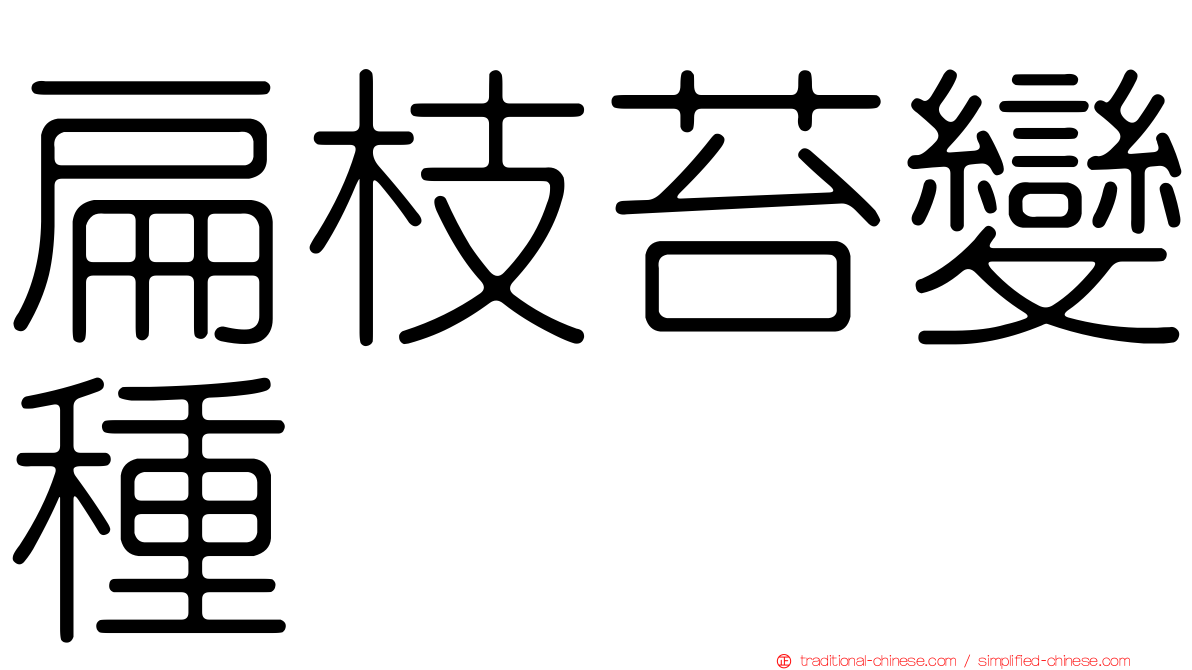 扁枝苔變種