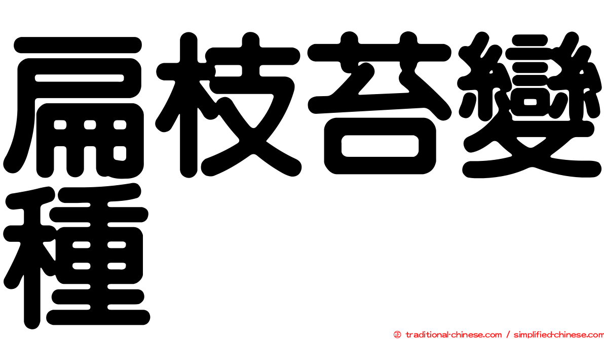 扁枝苔變種