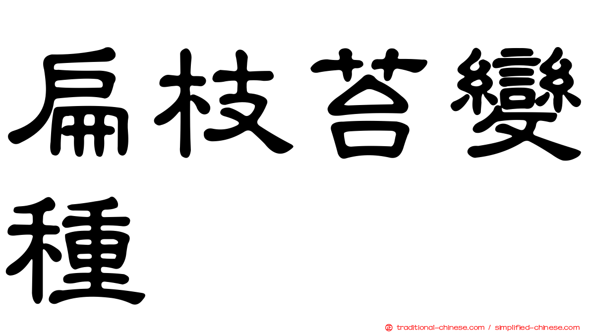 扁枝苔變種