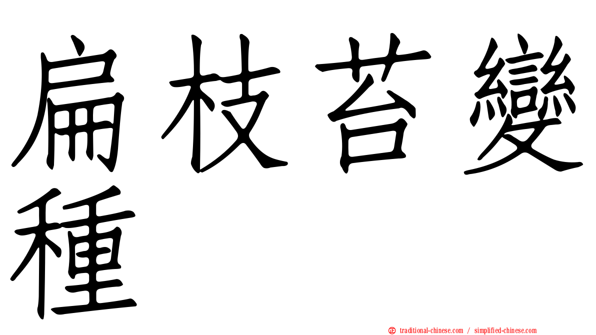 扁枝苔變種