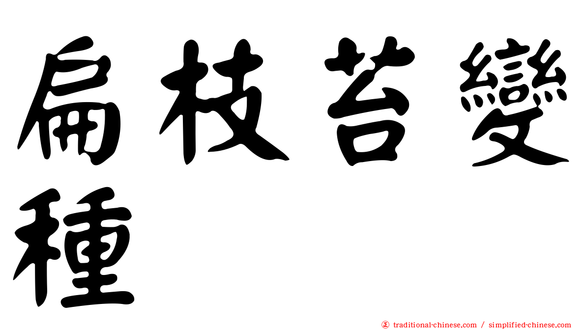 扁枝苔變種