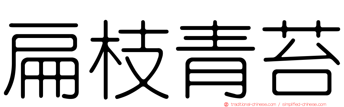 扁枝青苔