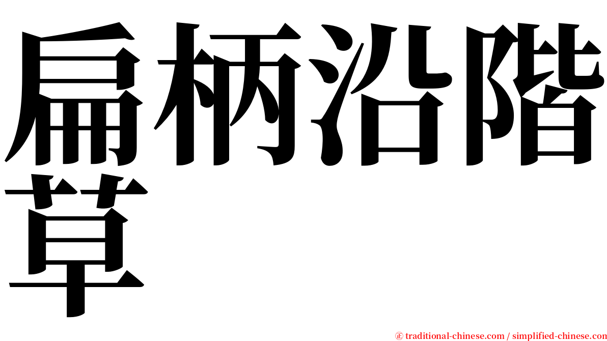 扁柄沿階草 serif font