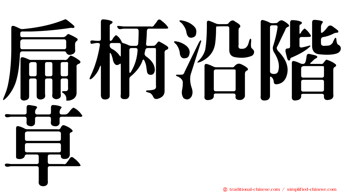 扁柄沿階草