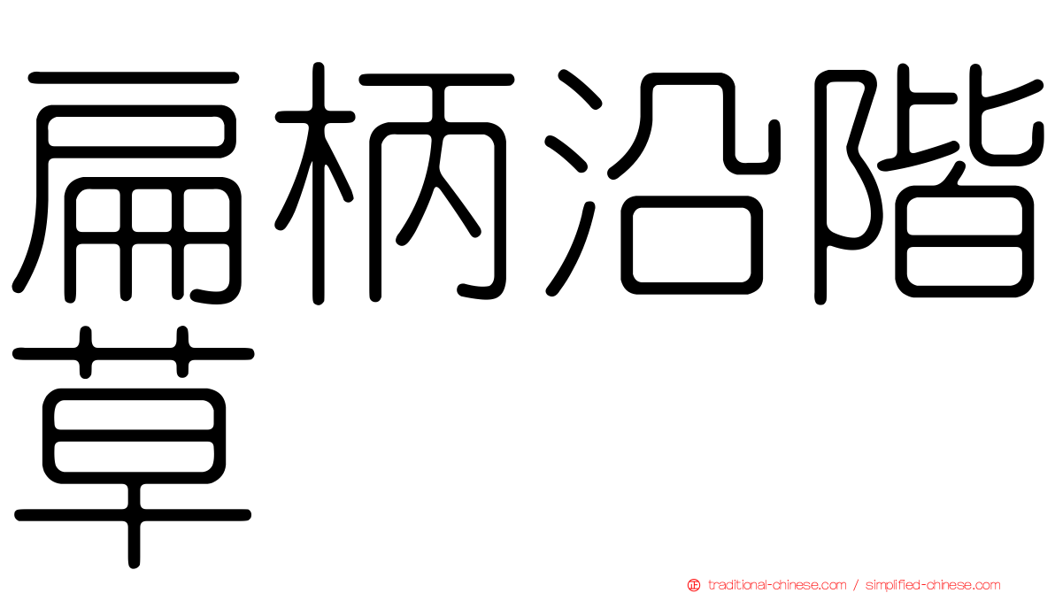 扁柄沿階草