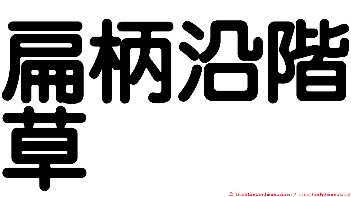 扁柄沿階草