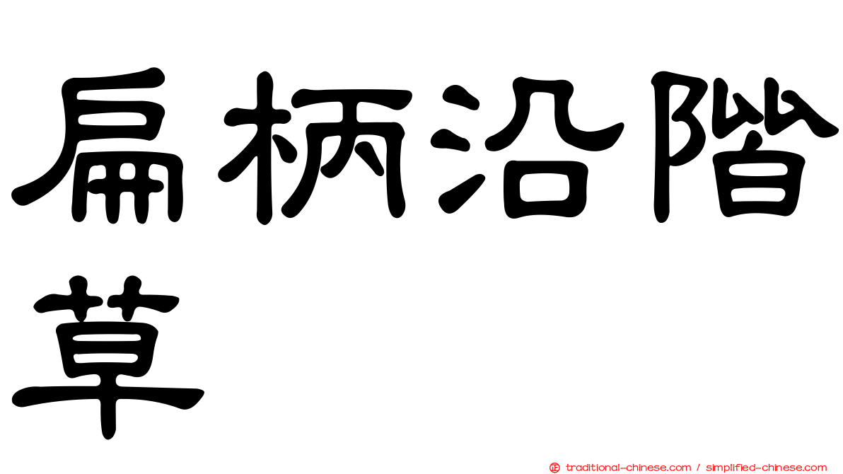扁柄沿階草