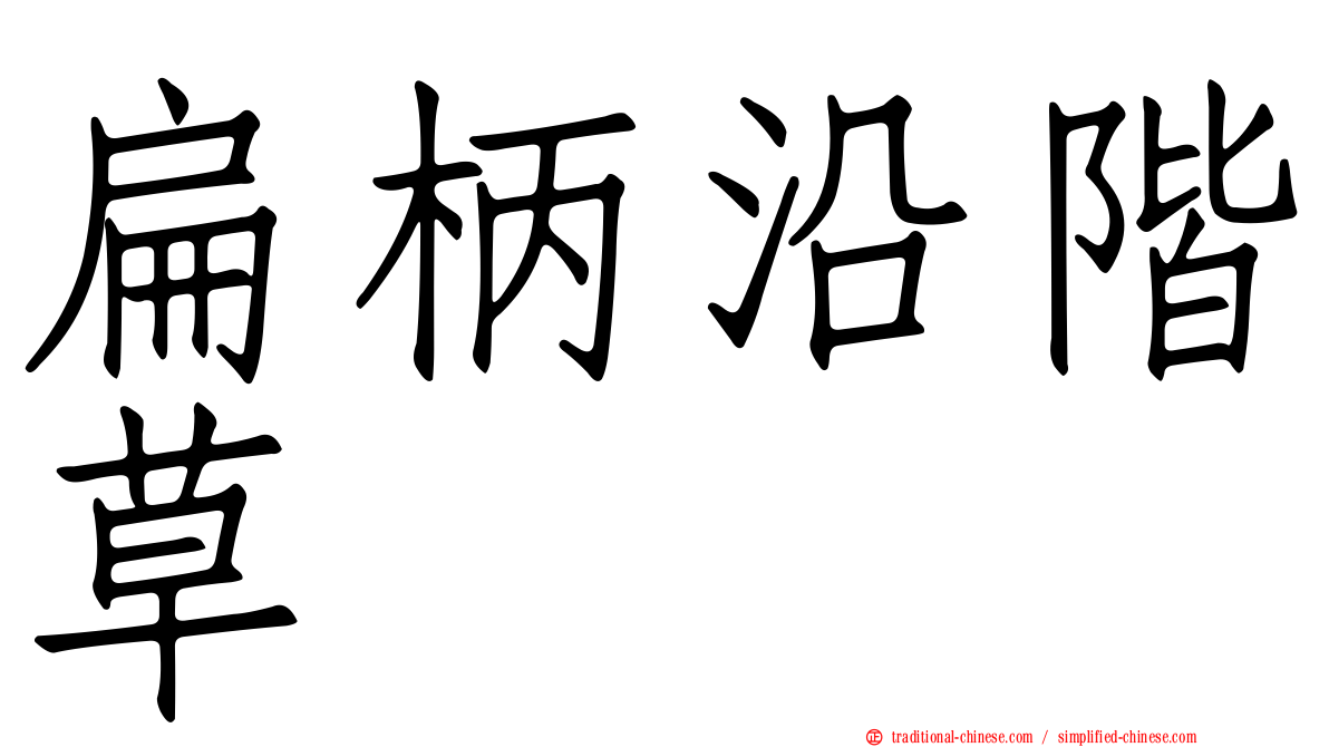 扁柄沿階草