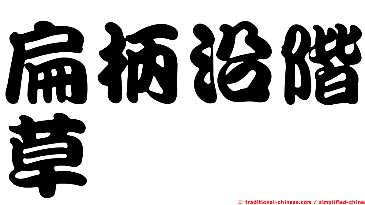 扁柄沿階草