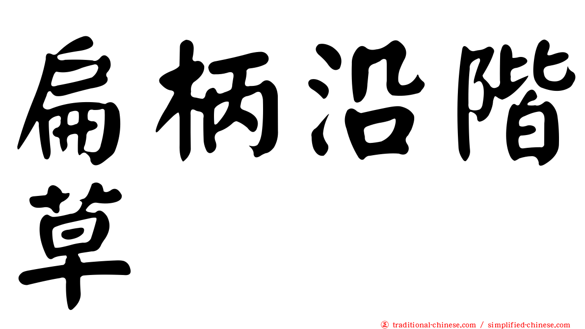 扁柄沿階草