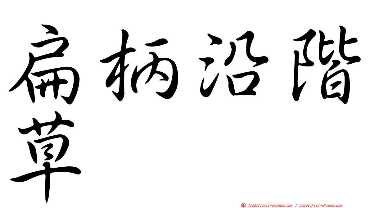 扁柄沿階草
