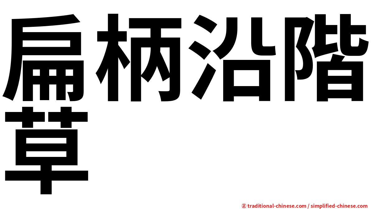 扁柄沿階草