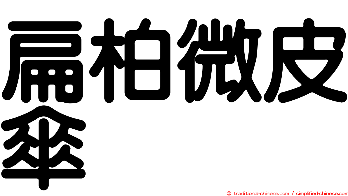 扁柏微皮傘