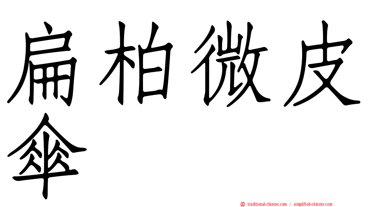 扁柏微皮傘