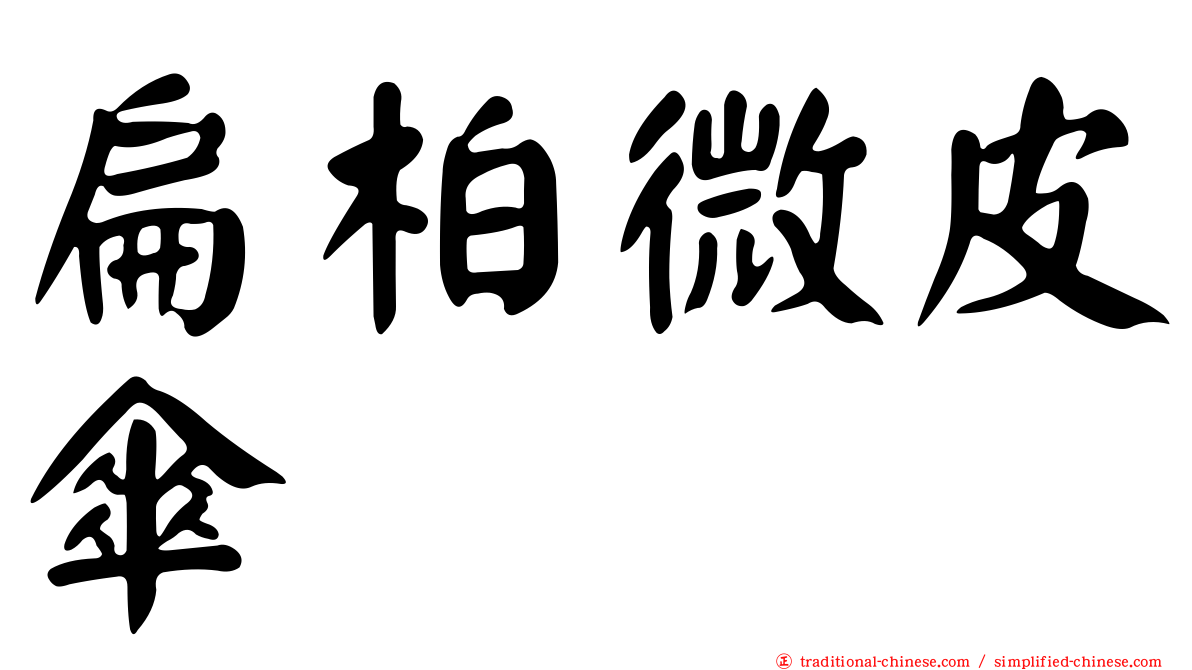 扁柏微皮傘