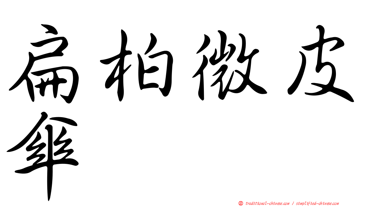 扁柏微皮傘