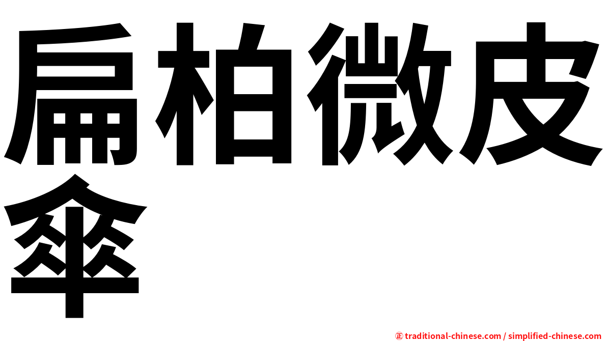 扁柏微皮傘