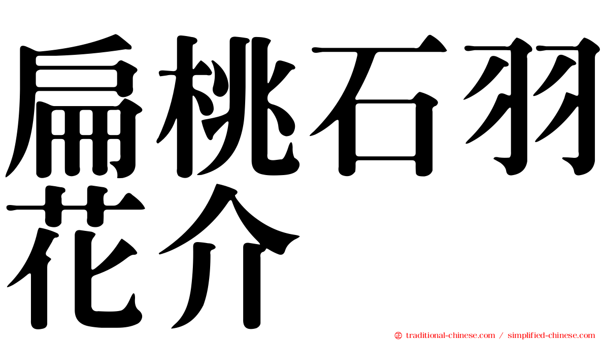 扁桃石羽花介