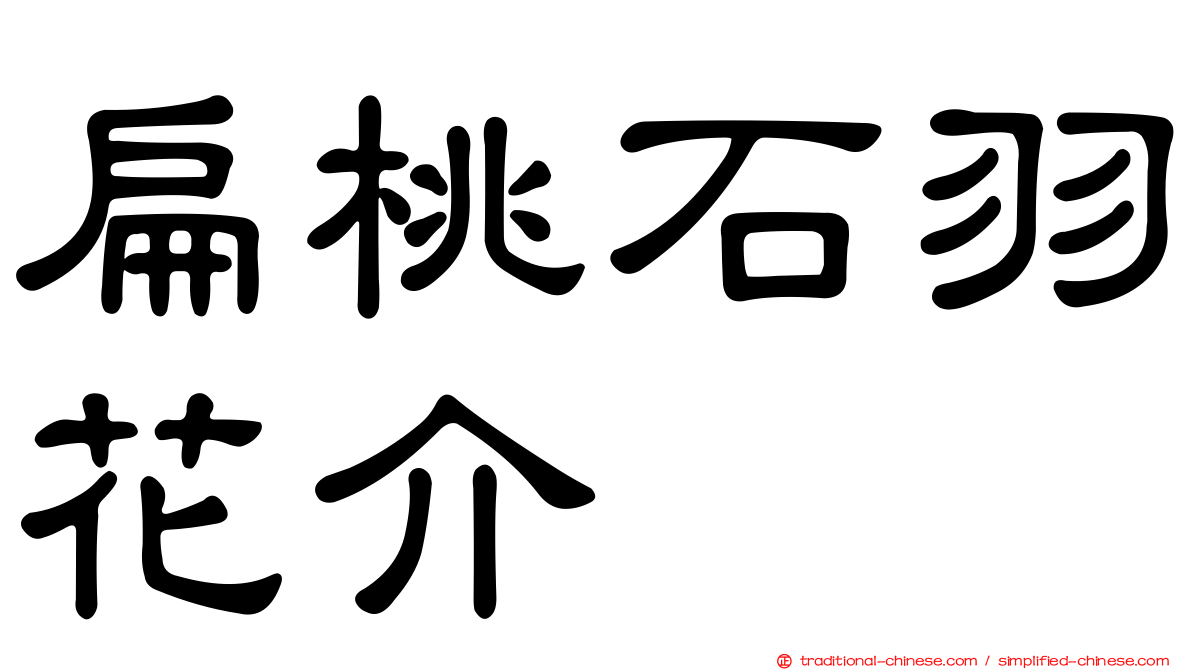 扁桃石羽花介
