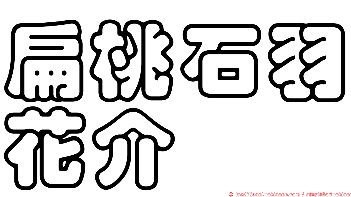 扁桃石羽花介
