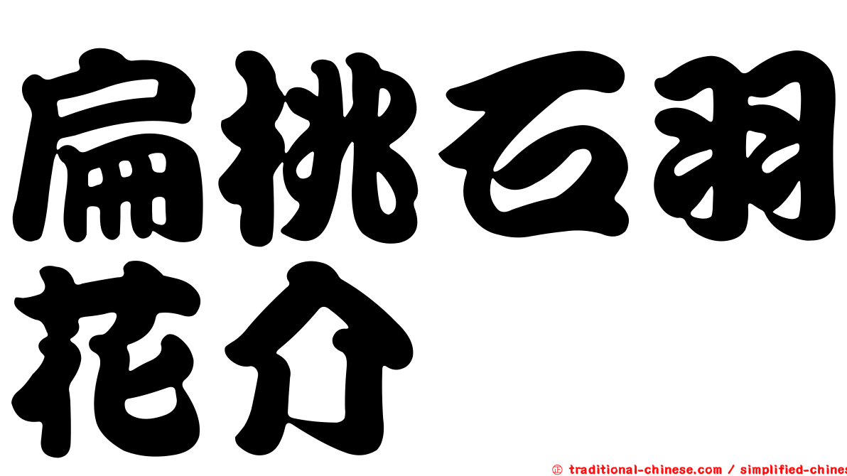 扁桃石羽花介