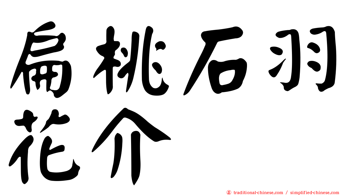 扁桃石羽花介