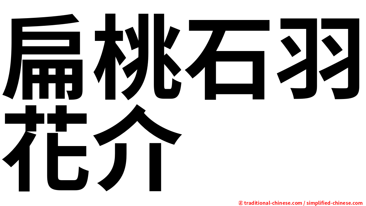 扁桃石羽花介