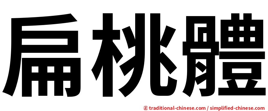 扁桃體