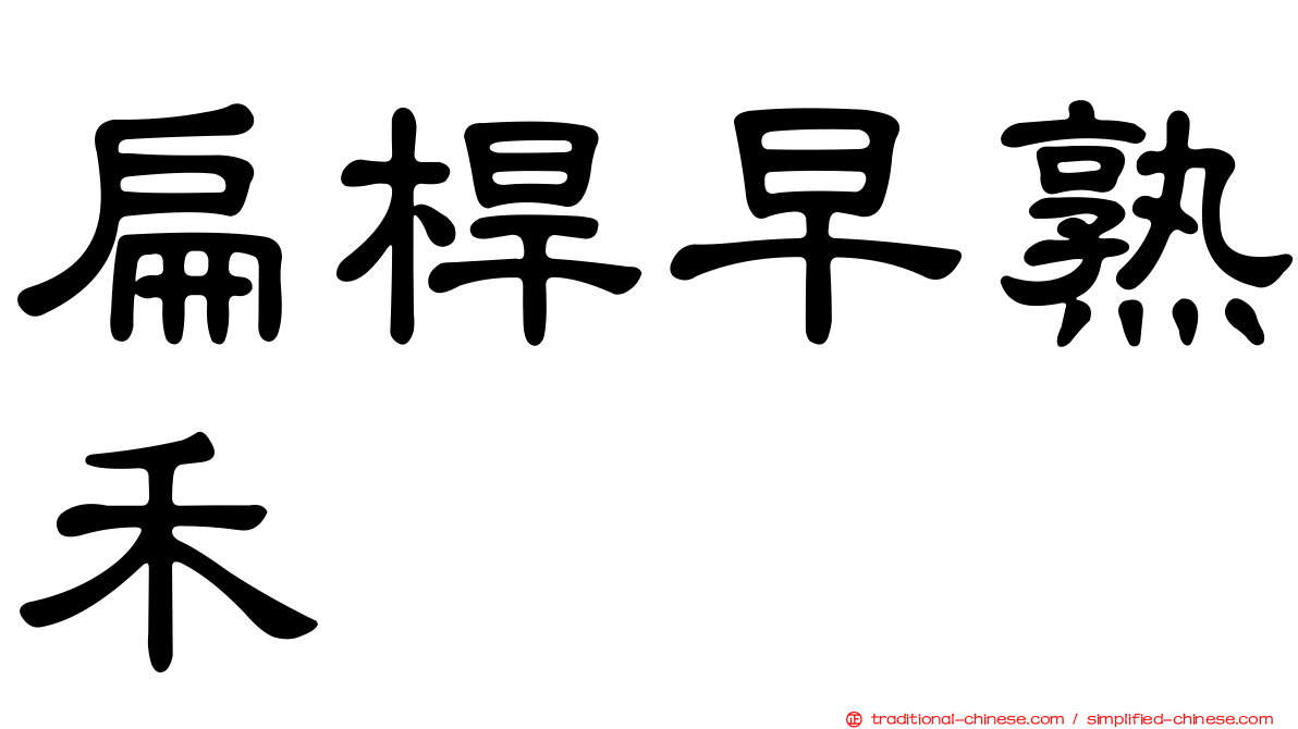 扁桿早熟禾