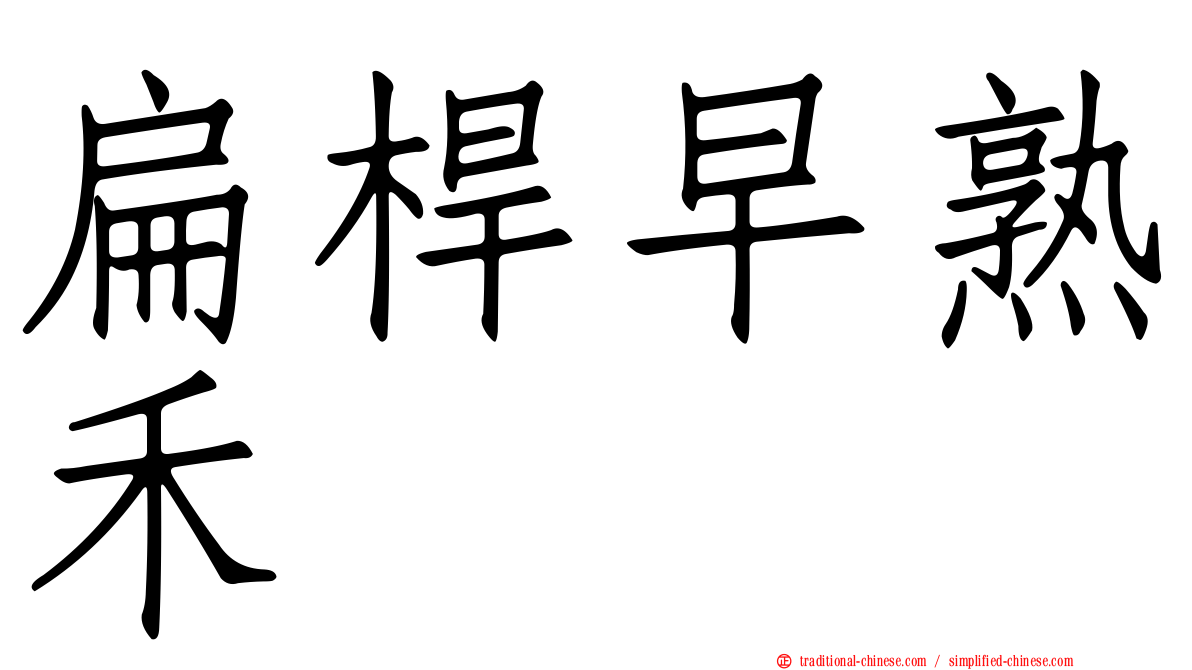 扁桿早熟禾