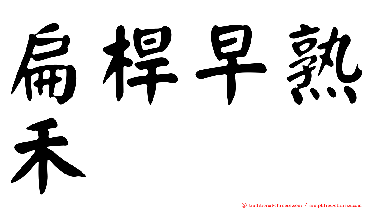 扁桿早熟禾
