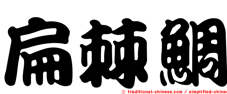 扁棘鯛