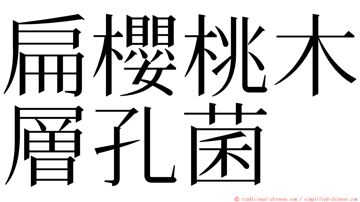 扁櫻桃木層孔菌 ming font
