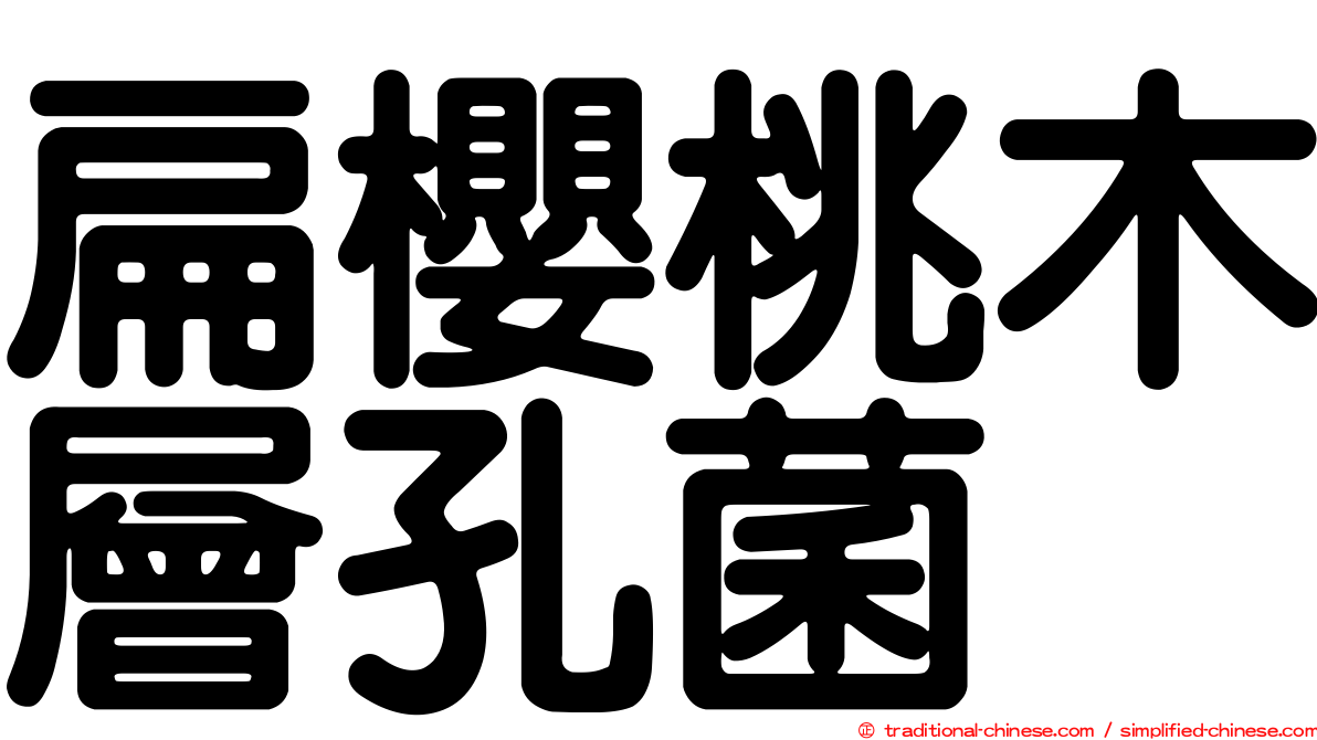 扁櫻桃木層孔菌