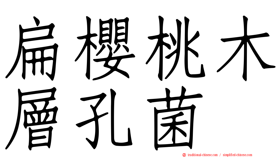 扁櫻桃木層孔菌