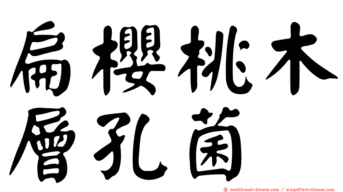 扁櫻桃木層孔菌