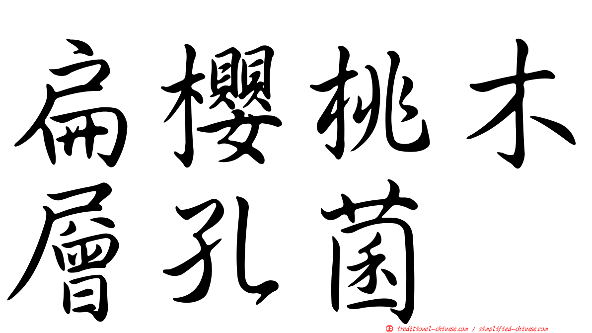 扁櫻桃木層孔菌