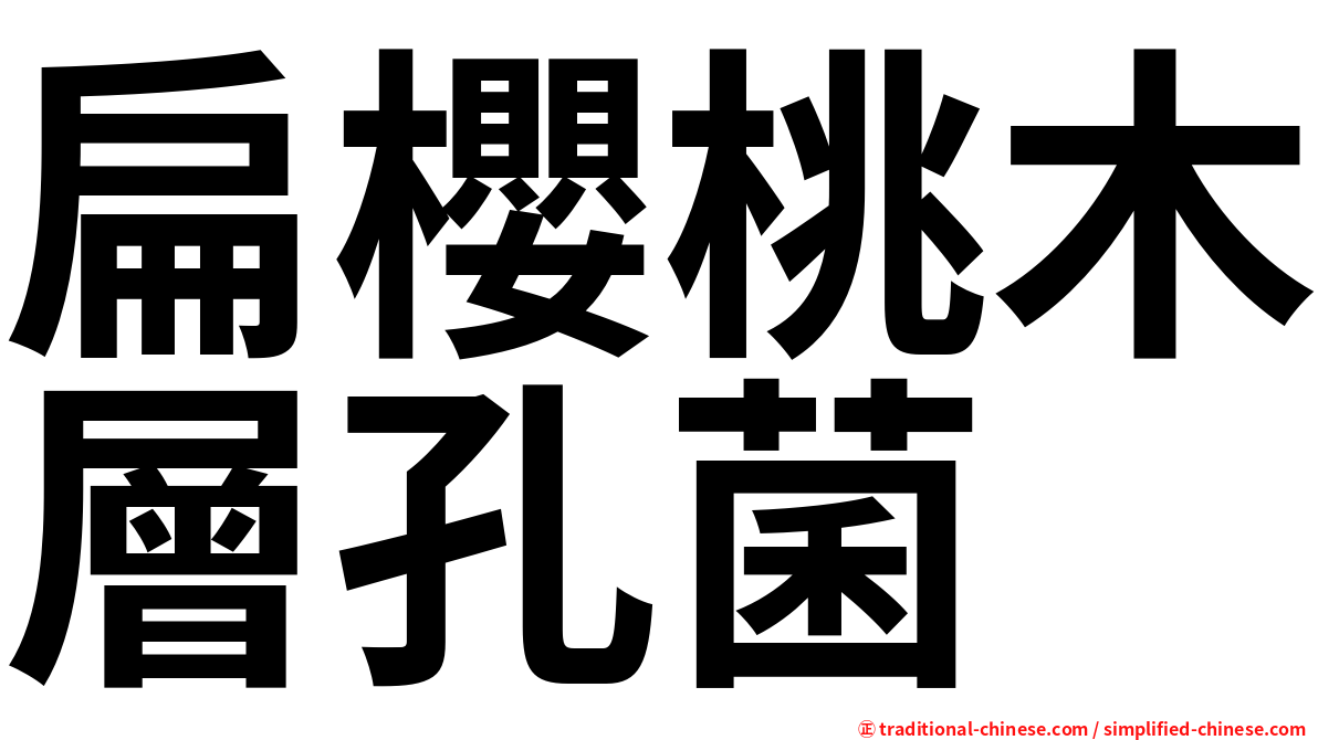 扁櫻桃木層孔菌