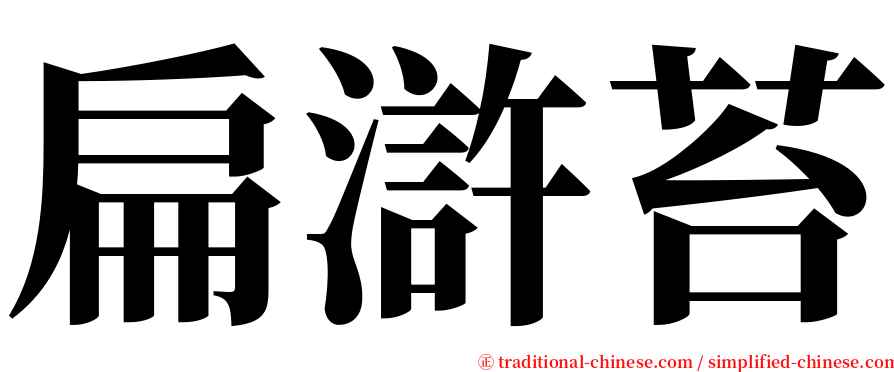 扁滸苔 serif font
