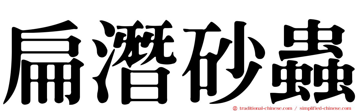 扁潛砂蟲