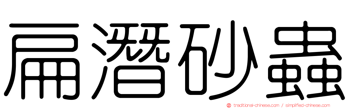 扁潛砂蟲